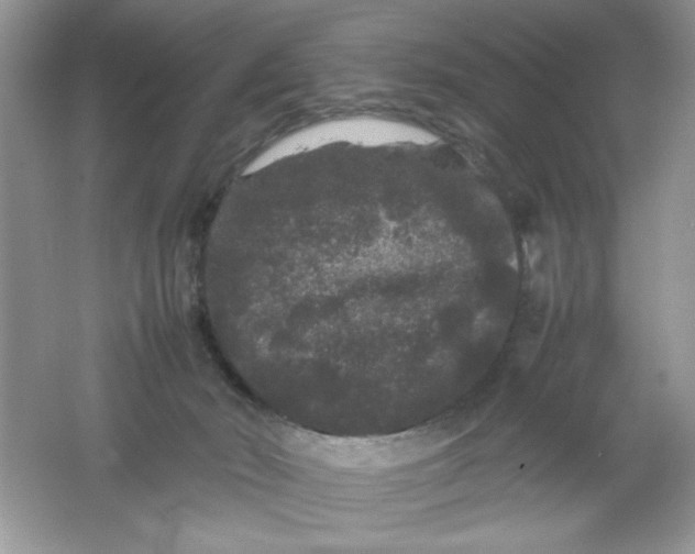 X0000061760030200512161755