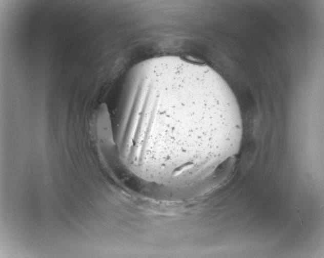 X0000061760033200512161755