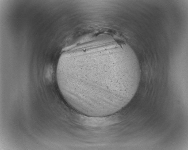 X0000061760034200512161755