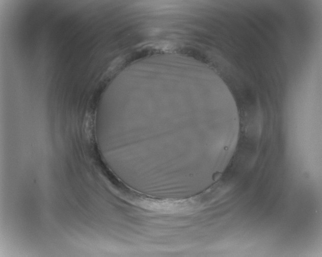 X0000061760036200512161755