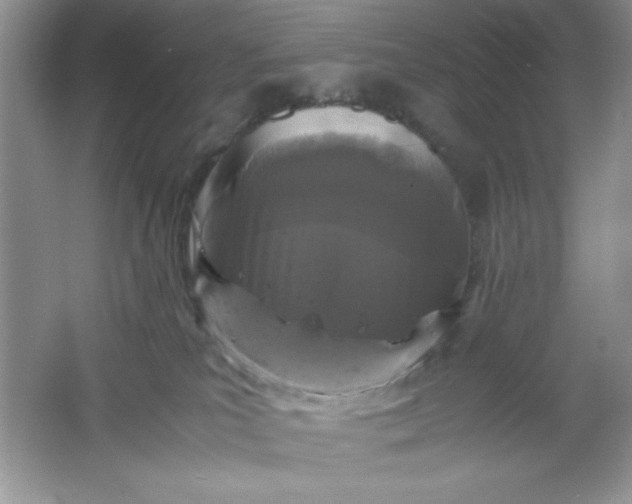 X0000061760039200512161755