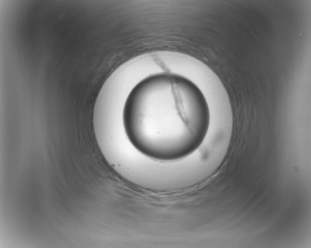 X0000061760041200512161755