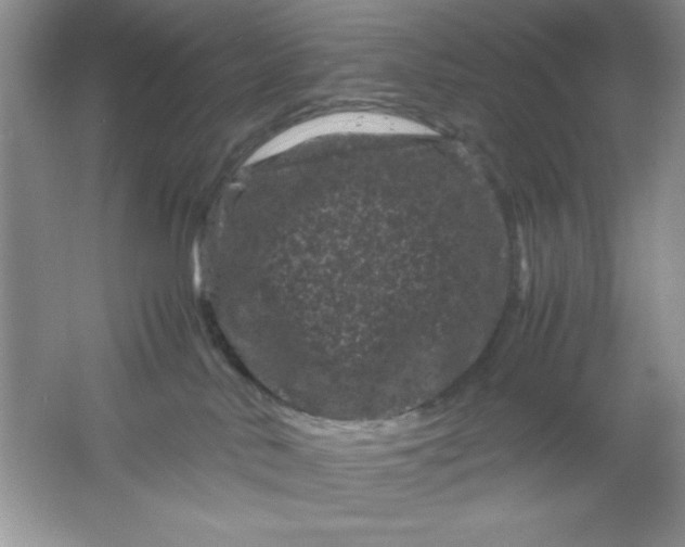 X0000061760042200512161755