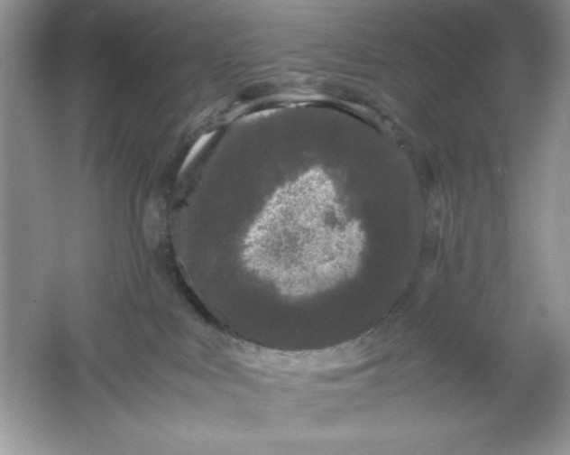 X0000061760043200512161755