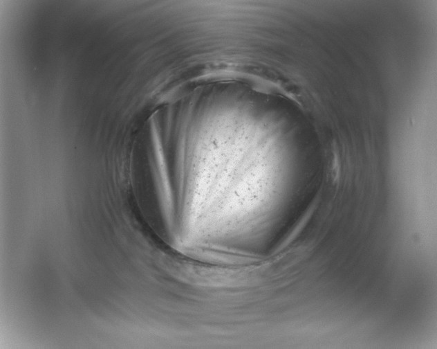 X0000061760044200512161755