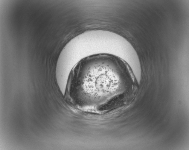 X0000061760045200512161755