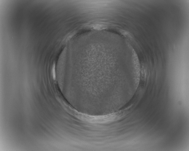 X0000061760046200512161755