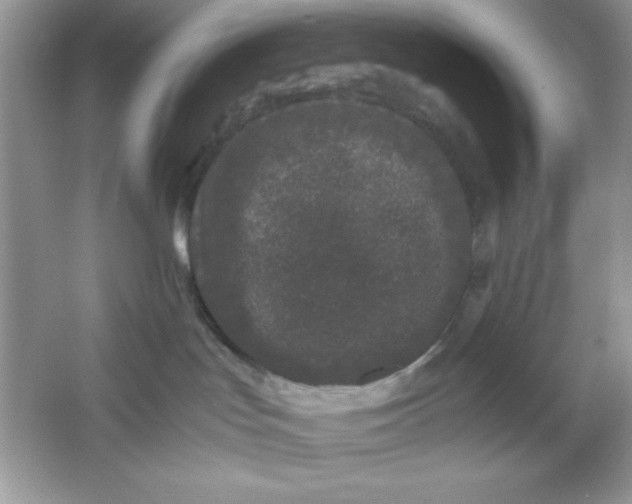 X0000061760047200512161755