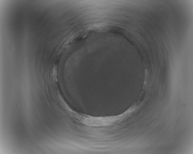 X0000061760048200512161755