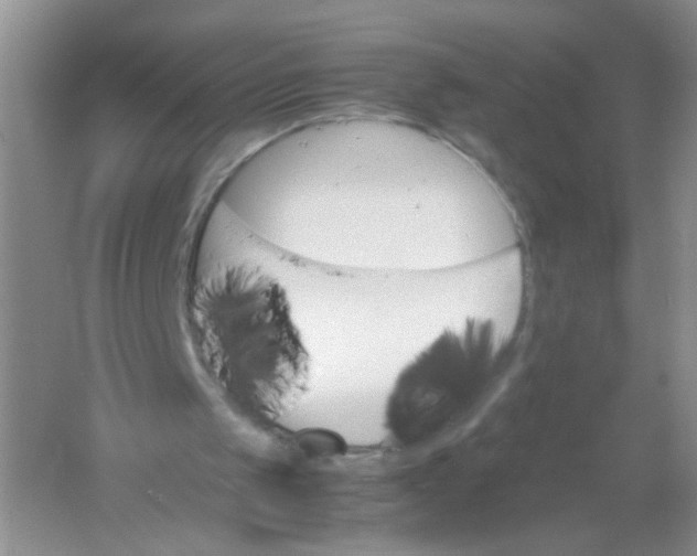 X0000061760049200512161754