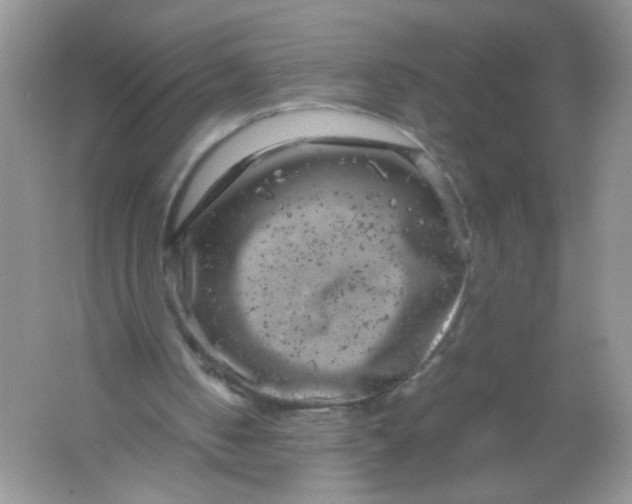 X0000061760050200512161754