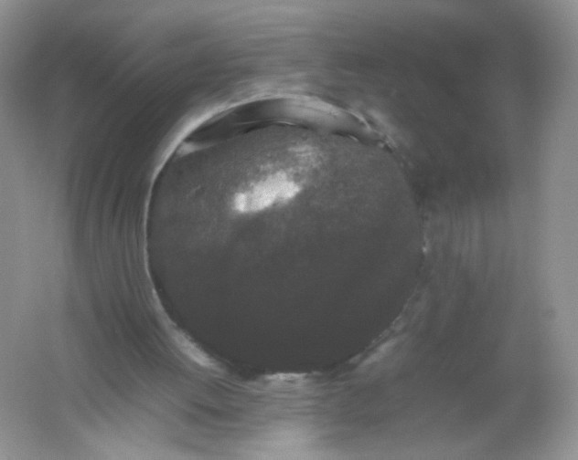 X0000061760052200512161754