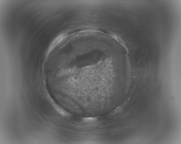 X0000061760053200512161754