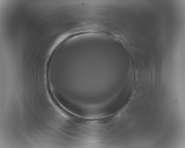 X0000061760054200512161754