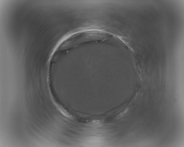 X0000061760056200512161754