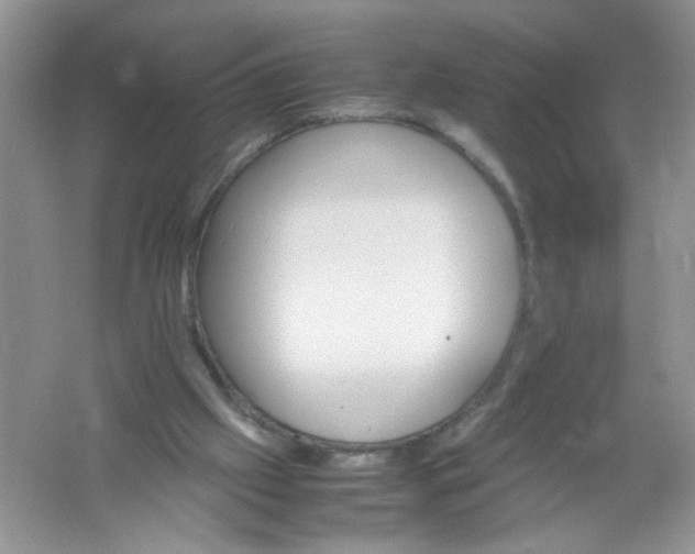 X0000061760057200512161754