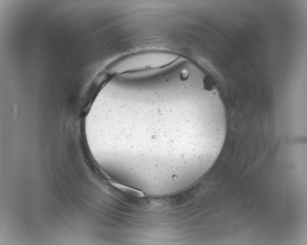 X0000061760060200512161754