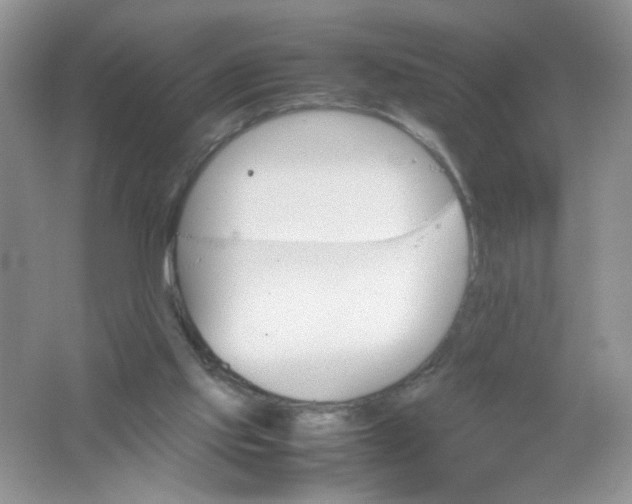 X0000061760061200512161754