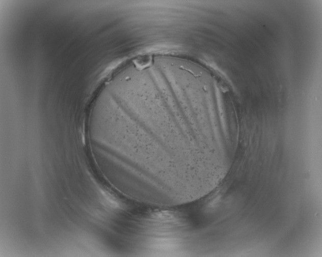 X0000061760062200512161754