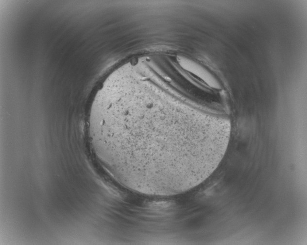 X0000061760063200512161754