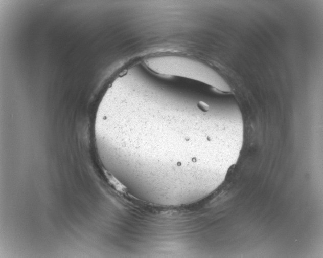 X0000061760064200512161754