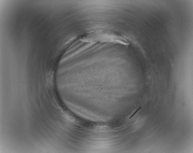 X0000061760066200512161754