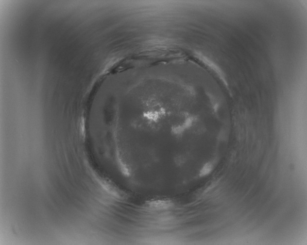 X0000061760067200512161754