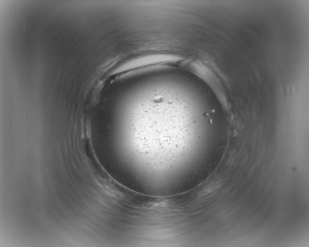 X0000061760068200512161754