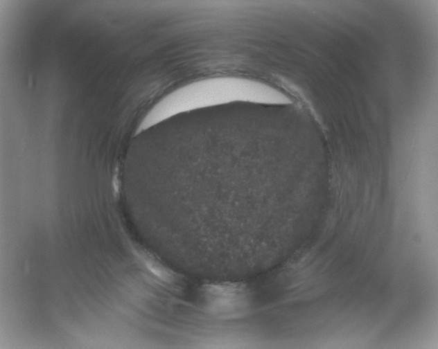 X0000061760069200512161754