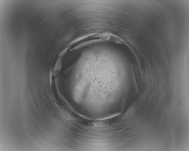 X0000061760070200512161754