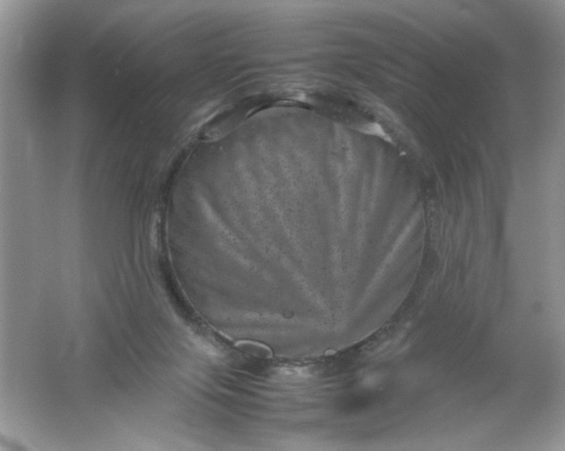 X0000061760071200512161754