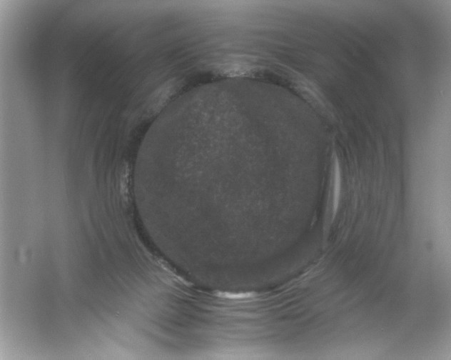 X0000061760073200512161755