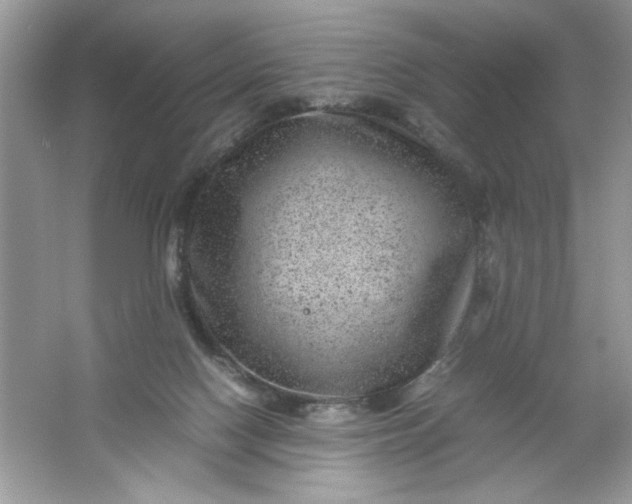 X0000061760074200512161755