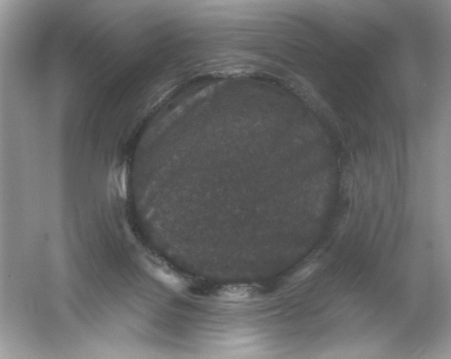 X0000061760076200512161755