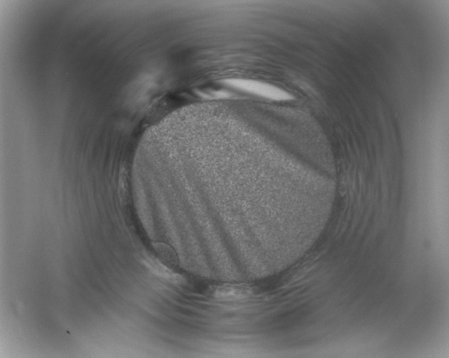 X0000061760077200512161755