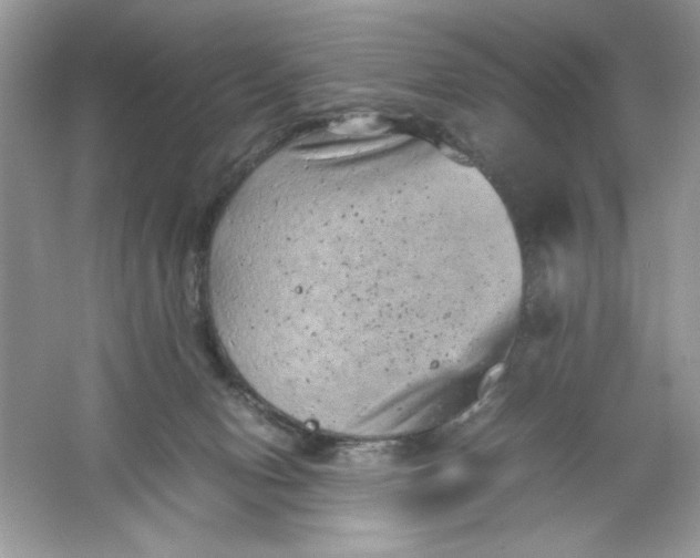 X0000061760078200512161755