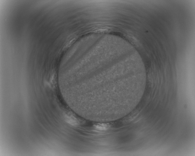 X0000061760079200512161755