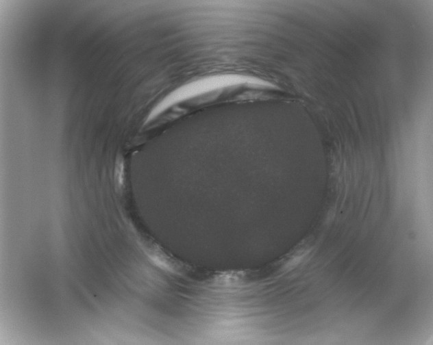 X0000061760080200512161755