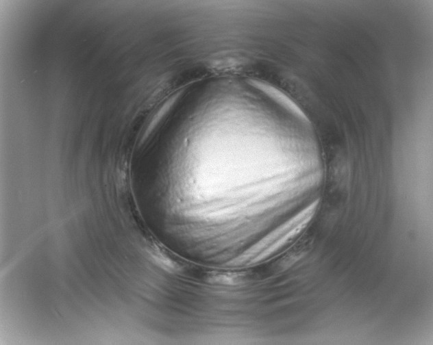 X0000061760081200512161755