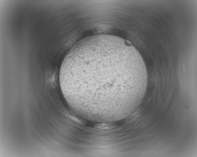 X0000061760082200512161755