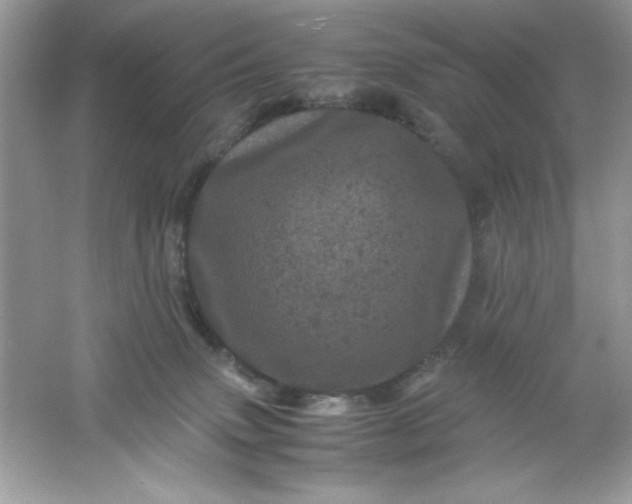 X0000061760083200512161755