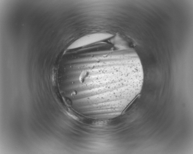 X0000061760084200512161755