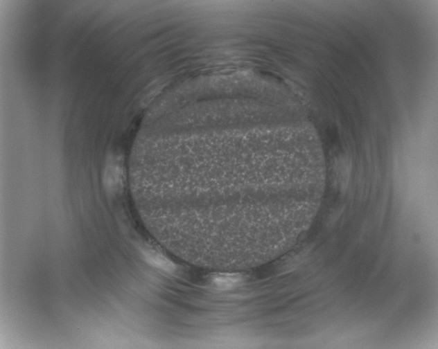 X0000061760085200512161755