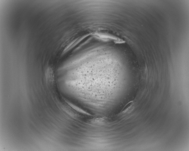 X0000061760086200512161755