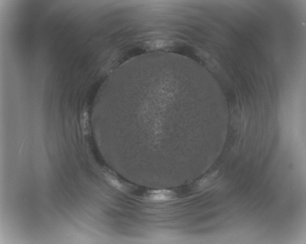 X0000061760087200512161755