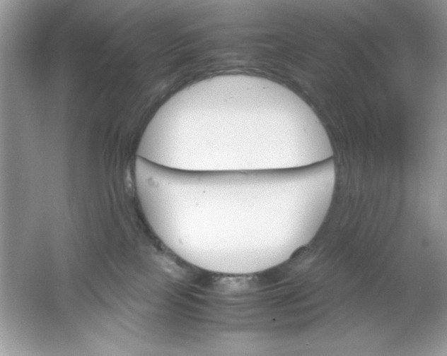 X0000061760089200512161755