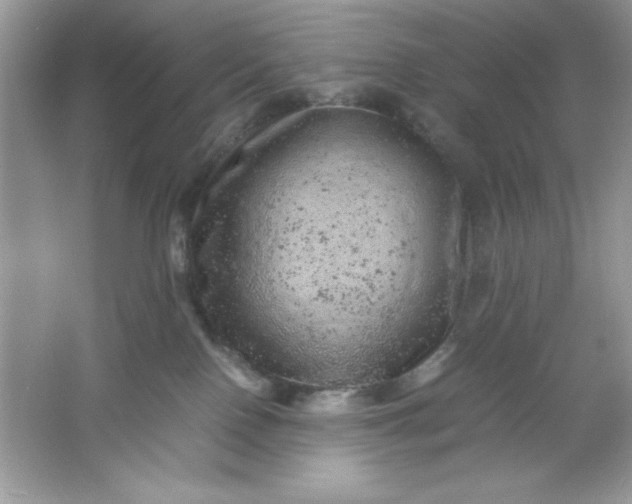 X0000061760090200512161755