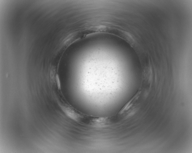 X0000061760092200512161755