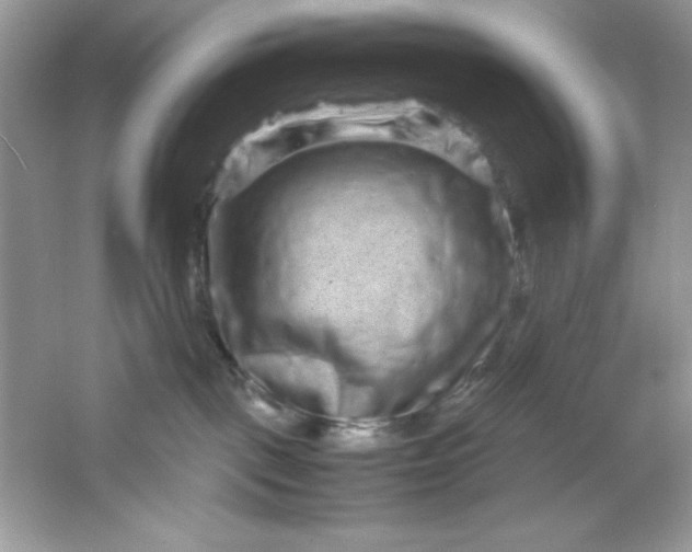 X0000061760093200512161755