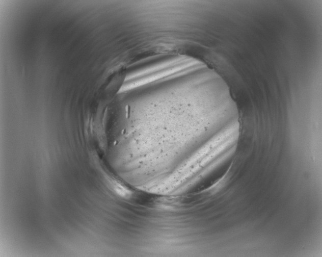 X0000061760094200512161755